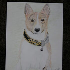 Tekening in kleur