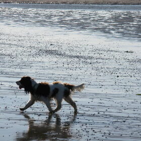 Op het strand