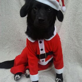 Kerst Boes :)