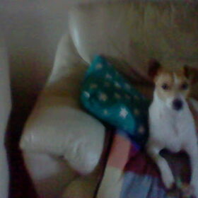 max wil spelen