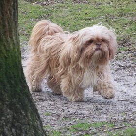 Luna ons dametje