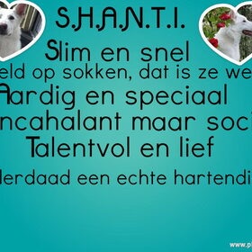 shanti