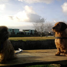 Brando en Kobus