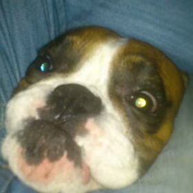 kiekeboeeeeeeeeeee.