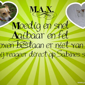 Max