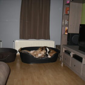 spelen