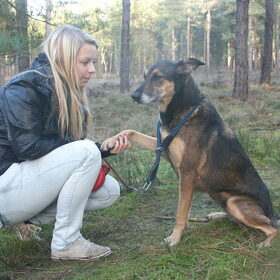 Lieve Minka, hokgenootje van Rino en ook op zoek naar een baasje…