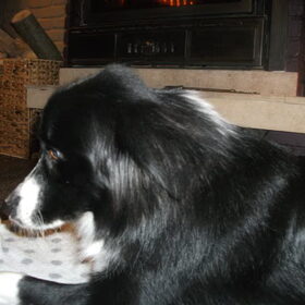 woody aan de openhaard