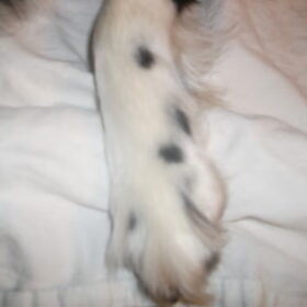 woody's pootje!!