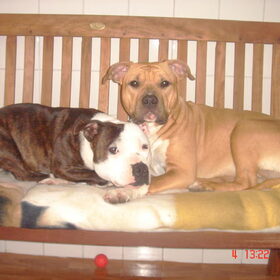 foto's van Rocky en Lady (20)