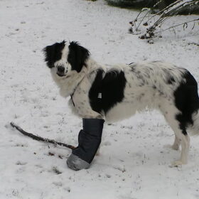Buiten in de sneeuw met een laars om het verband voor zijn…