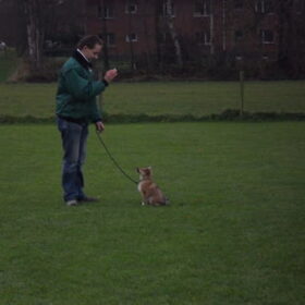 zino op hondenschool