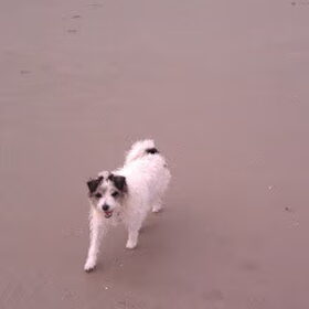 Deze foto is genomen, afgelopen zomer op schiermonnikoog. Lizzie…