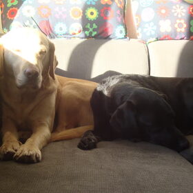 Lekker samen op de bank