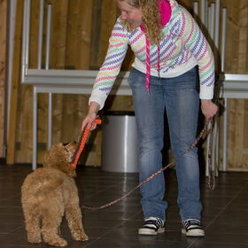 Hondenfoto van Karin & Levi