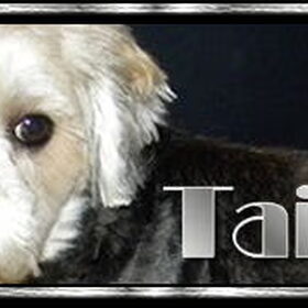 Taiko van Mellissa