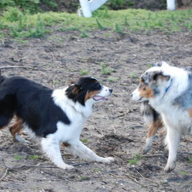Spelen met mams (22-01-2012)
