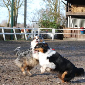 Spelen met mams (22-01-2012)