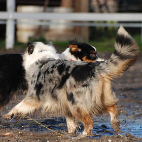 Spelen met mams (22-01-2012)