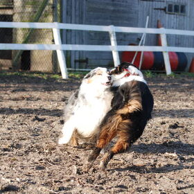 Spelen met mams (22-01-2012)