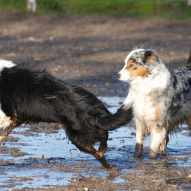 Spelen met mams (22-01-2012)