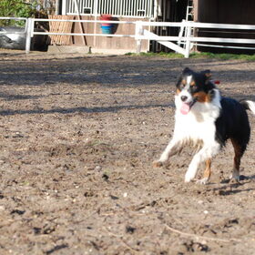 Spelen met mams (22-01-2012)