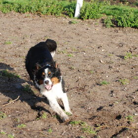 Spelen met mams (22-01-2012)