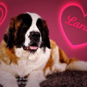 Larah