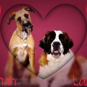 Fennah & Larah