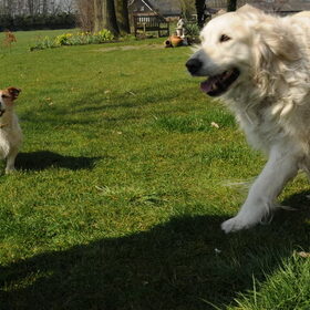 Samen spelen