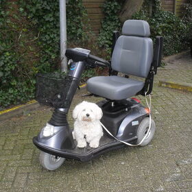 Op de scootmobiel. Jong geleerd, oud gedaan !