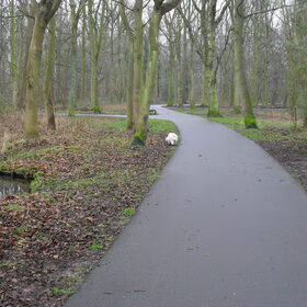 In het park Meer en Bos