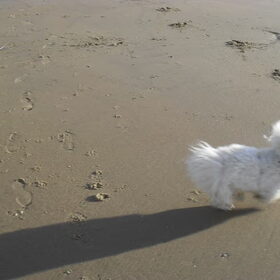 lekker crossen op het strand