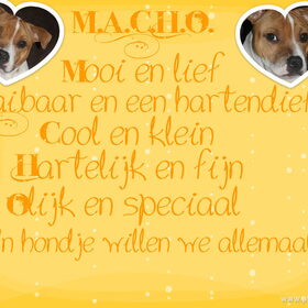 Gemaakt door Happydroepyzottydolly