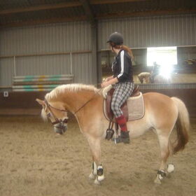 Mijn andere knuffel! 6 jarige eerste premie merrie die ik in het…