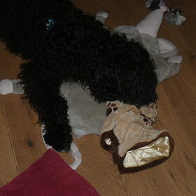 buddy speelt 3