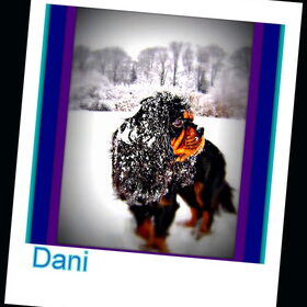 voor dani