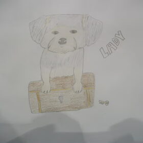 Lady van Lise getekend