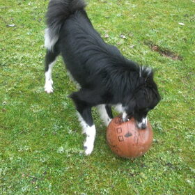 hmmmm basketbal