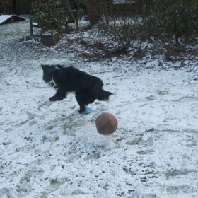 aaah een bal