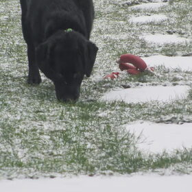 1e X sneeuw