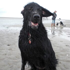 Heerlijk dat strand!