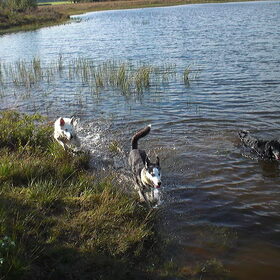 Lekker met mijn vriendinnen in het water