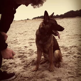 Charlie 7 maanden en kan al goed los lopen!
