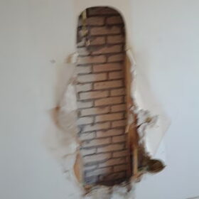 Hondenfoto van Eef en Tjibbe