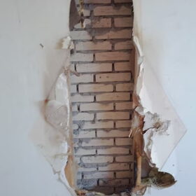 Hondenfoto van Eef en Tjibbe