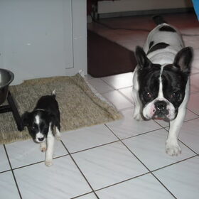 Samen met Baco