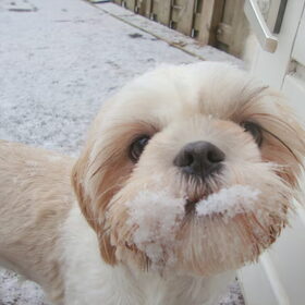 Sneeuw Engeltje