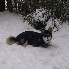 mijn eerste sneeuw