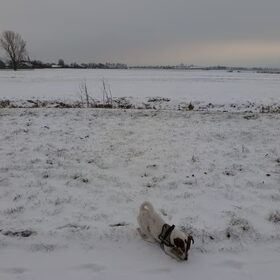 Wandelen in de sneeuw!